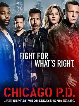 芝加哥警署 第四季第14集